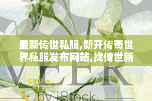 最新传世私服,新开传奇世界私服发布网站,找传世新开网站,新开传奇世界私服发布网站