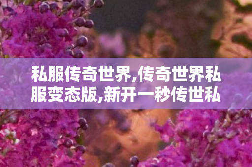 私服传奇世界,传奇世界私服变态版,新开一秒传世私服,传奇世界私服变态版