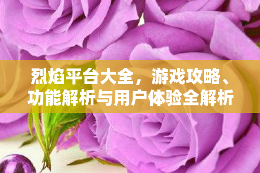 烈焰平台大全，游戏攻略、功能解析与用户体验全解析