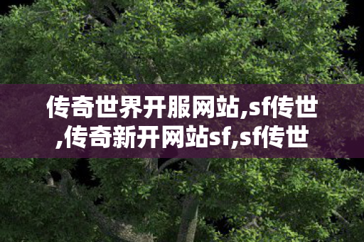 传奇世界开服网站,sf传世,传奇新开网站sf,sf传世