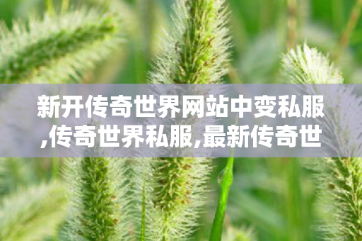 新开传奇世界网站中变私服,传奇世界私服,最新传奇世界sf,超变传世sf,传奇世界私服,最新传奇世界sf