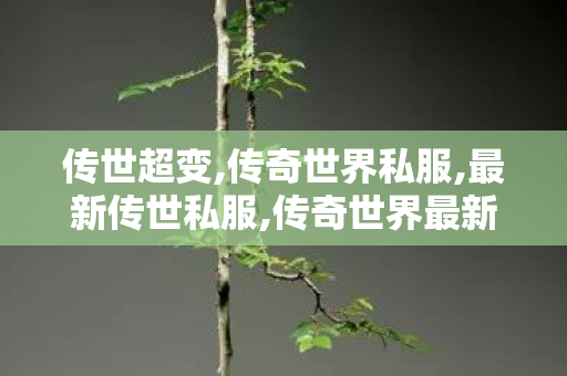传世超变,传奇世界私服,最新传世私服,传奇世界最新版本,传奇世界私服,最新传世私服