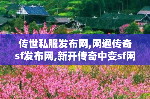 传世私服发布网,网通传奇sf发布网,新开传奇中变sf网站,网通传奇sf发布网