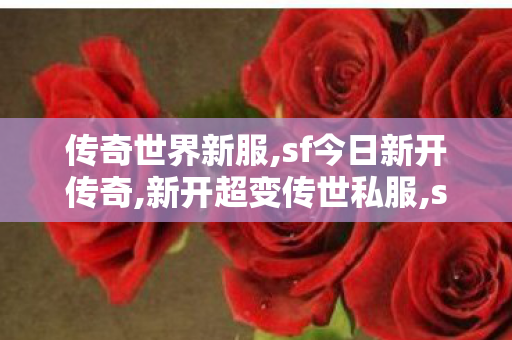 传奇世界新服,sf今日新开传奇,新开超变传世私服,sf今日新开传奇