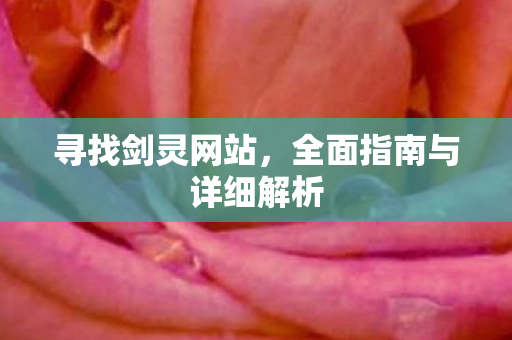 寻找剑灵网站，全面指南与详细解析