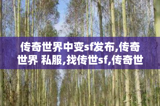 传奇世界中变sf发布,传奇世界 私服,找传世sf,传奇世界 私服