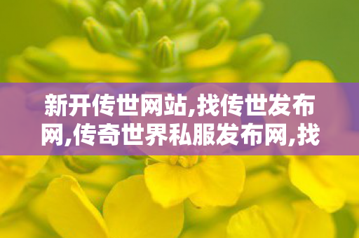 新开传世网站,找传世发布网,传奇世界私服发布网,找传世发布网