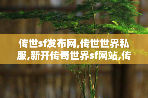 传世sf发布网,传世世界私服,新开传奇世界sf网站,传世世界私服