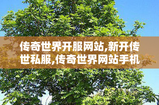 传奇世界开服网站,新开传世私服,传奇世界网站手机版,新开传世私服