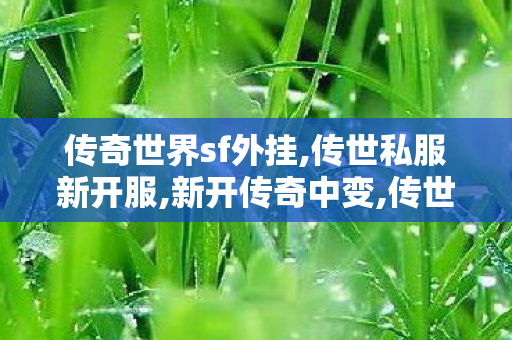 传奇世界sf外挂,传世私服新开服,新开传奇中变,传世私服新开服