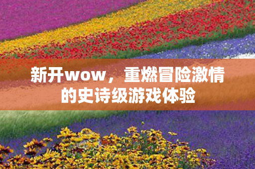 新开wow，重燃冒险激情的史诗级游戏体验