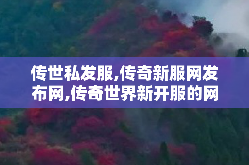 传世私发服,传奇新服网发布网,传奇世界新开服的网站,传奇新服网发布网