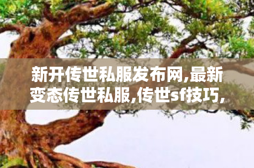 新开传世私服发布网,最新变态传世私服,传世sf技巧,最新变态传世私服