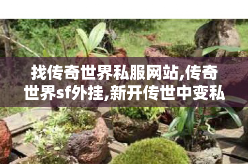 找传奇世界私服网站,传奇世界sf外挂,新开传世中变私服,传奇世界sf外挂