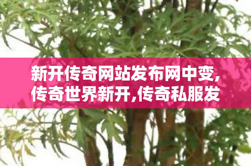 新开传奇网站发布网中变,传奇世界新开,传奇私服发布网官网,传奇世界新开