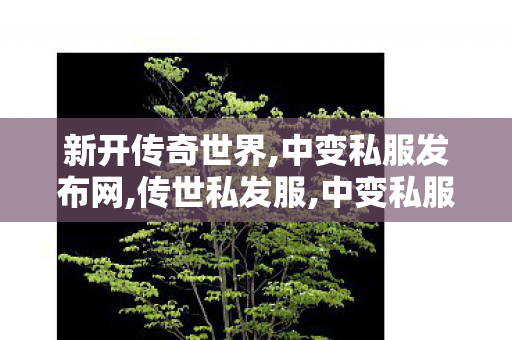 新开传奇世界,中变私服发布网,传世私发服,中变私服发布网