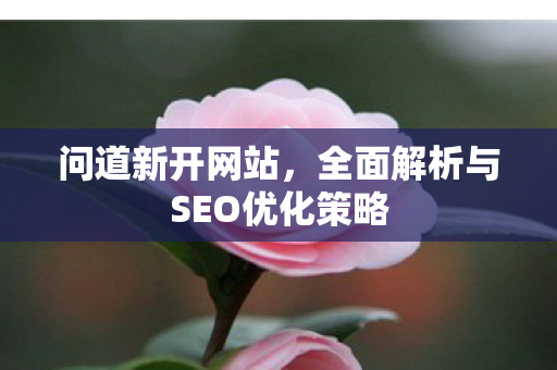 问道新开网站，全面解析与SEO优化策略