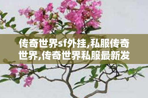 传奇世界sf外挂,私服传奇世界,传奇世界私服最新发布网,私服传奇世界