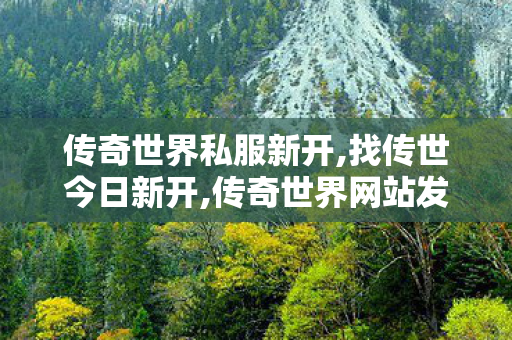 传奇世界私服新开,找传世今日新开,传奇世界网站发布网,找传世今日新开