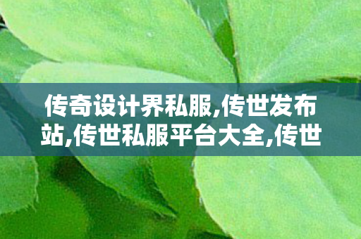 传奇设计界私服,传世发布站,传世私服平台大全,传世发布站