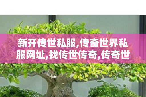 新开传世私服,传奇世界私服网址,找传世传奇,传奇世界私服网址