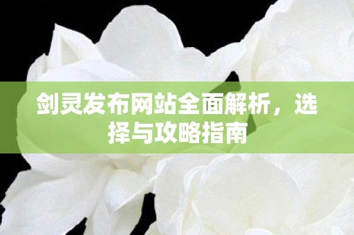 剑灵发布网站全面解析，选择与攻略指南