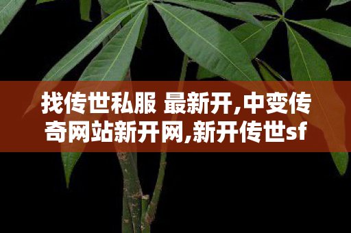 找传世私服 最新开,中变传奇网站新开网,新开传世sf网站,中变传奇网站新开网