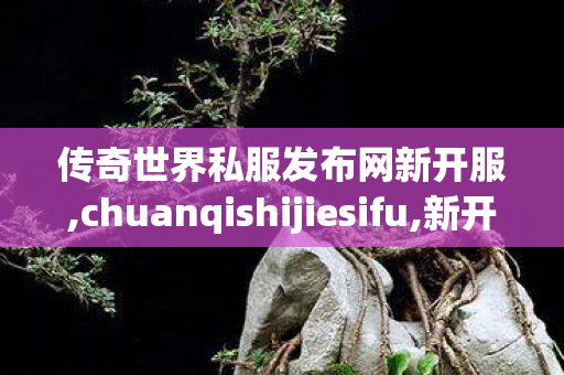 传奇世界私服发布网新开服,chuanqishijiesifu,新开传奇微变网站,chuanqishijiesifu
