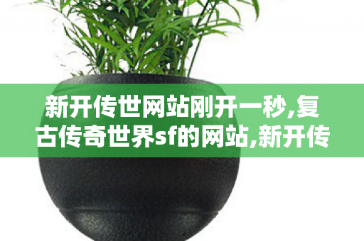 新开传世网站刚开一秒,复古传奇世界sf的网站,新开传奇世界世私服,复古传奇世界sf的网站