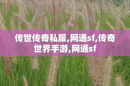 传世传奇私服,网通sf,传奇世界手游,网通sf