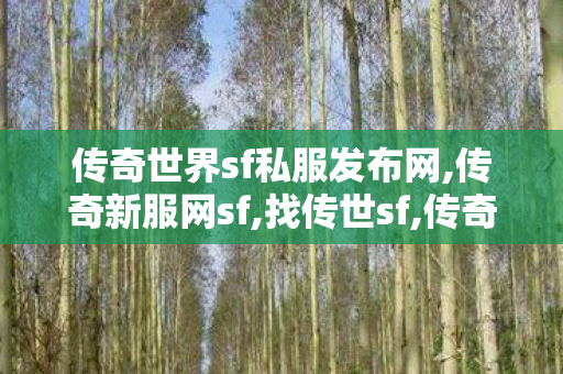 传奇世界sf私服发布网,传奇新服网sf,找传世sf,传奇新服网sf
