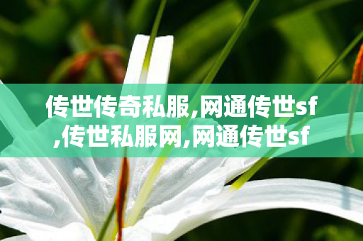 传世传奇私服,网通传世sf,传世私服网,网通传世sf