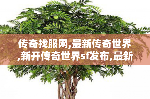 传奇找服网,最新传奇世界,新开传奇世界sf发布,最新传奇世界