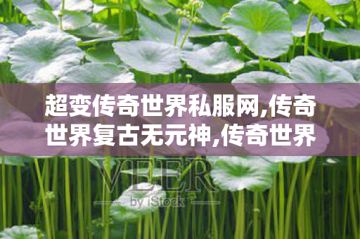 超变传奇世界私服网,传奇世界复古无元神,传奇世界sf发布网0,传奇世界复古无元神