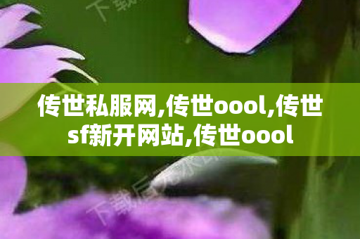 传世私服网,传世oool,传世sf新开网站,传世oool