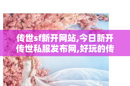 传世sf新开网站,今日新开传世私服发布网,好玩的传奇私服推荐,今日新开传世私服发布网