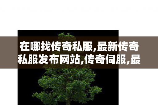 在哪找传奇私服,最新传奇私服发布网站,传奇伺服,最新传奇私服发布网站