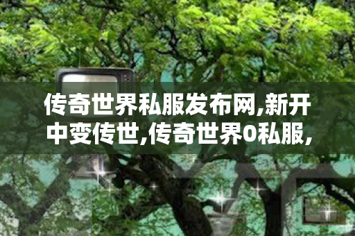 传奇世界私服发布网,新开中变传世,传奇世界0私服,新开中变传世