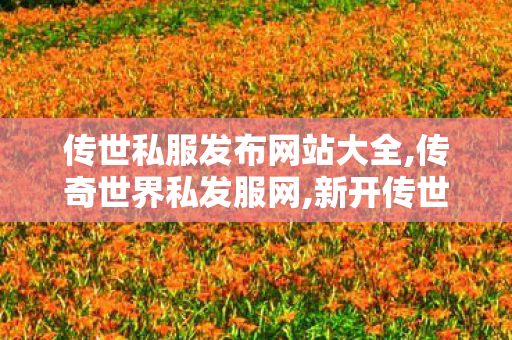传世私服发布网站大全,传奇世界私发服网,新开传世私服开服表,传奇世界私发服网