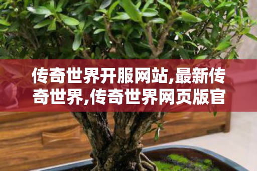 传奇世界开服网站,最新传奇世界,传奇世界网页版官网,最新传奇世界