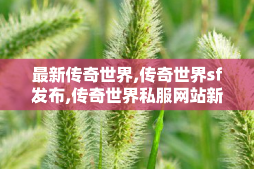 最新传奇世界,传奇世界sf发布,传奇世界私服网站新开网,传奇世界sf发布
