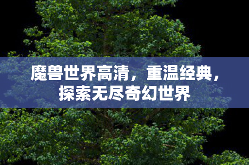 魔兽世界高清，重温经典，探索无尽奇幻世界