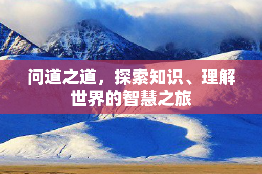 问道之道，探索知识、理解世界的智慧之旅