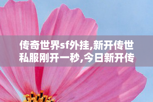 传奇世界sf外挂,新开传世私服刚开一秒,今日新开传世发布网站,新开传世私服刚开一秒