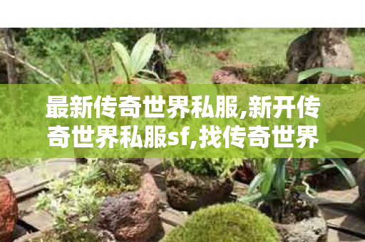最新传奇世界私服,新开传奇世界私服sf,找传奇世界sf发布网,新开传奇世界私服sf