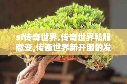 sf传奇世界,传奇世界私服微变,传奇世界新开服的发布网,传奇世界私服微变