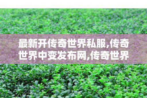 最新开传奇世界私服,传奇世界中变发布网,传奇世界 私服,传奇世界中变发布网