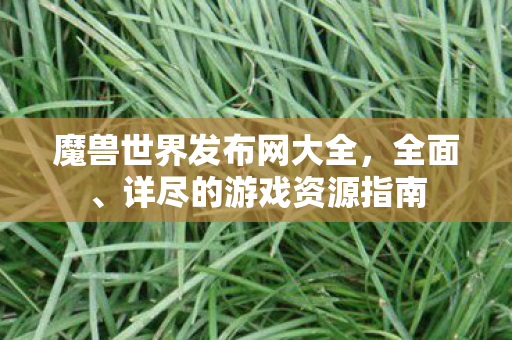 魔兽世界发布网大全，全面、详尽的游戏资源指南