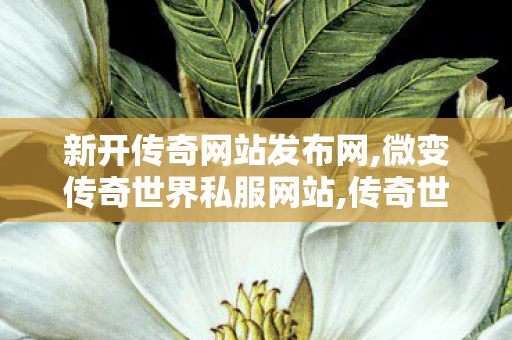 新开传奇网站发布网,微变传奇世界私服网站,传奇世界最新版本,微变传奇世界私服网站