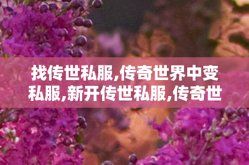 找传世私服,传奇世界中变私服,新开传世私服,传奇世界中变私服